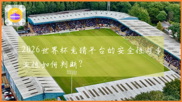 2026世界杯竞猜平台的安全性与专业性如何判断？