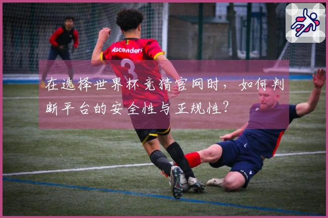 在选择世界杯竞猜官网时,如何判断平台的安全性与正规性?