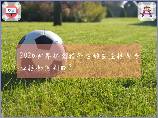 2026世界杯竞猜平台的安全性与专业性如何判断？