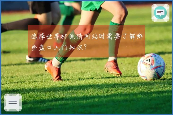 选择世界杯竞猜网站时需要了解哪些盘口入门知识？
