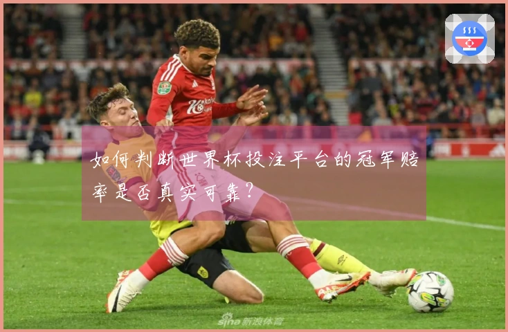 如何判断世界杯投注平台的冠军赔率是否真实可靠？