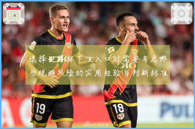 选择世界杯下注入口时需要考虑哪些规避风险的实用经验与判断标准