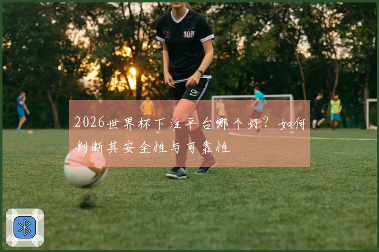 2026世界杯下注平台哪个好？如何判断其安全性与可靠性