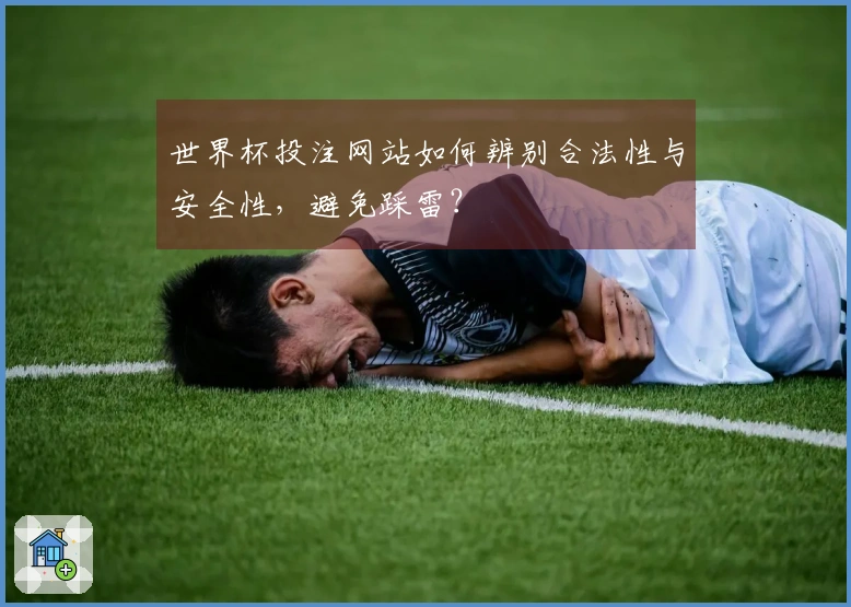 世界杯投注网站如何辨别合法性与安全性,避免踩雷?