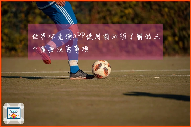 世界杯竞猜APP使用前必须了解的三个重要注意事项