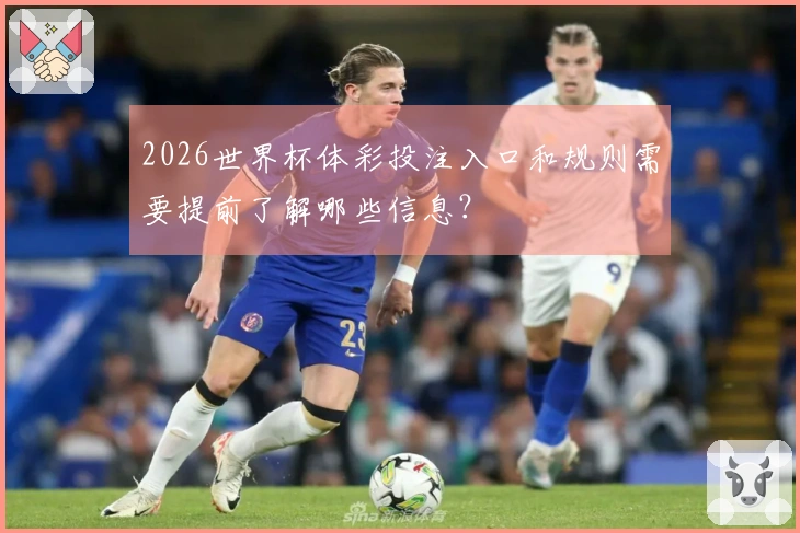 2026世界杯体彩投注入口和规则需要提前了解哪些信息？
