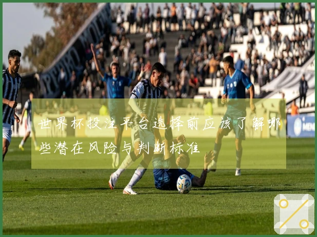 世界杯投注平台选择前应该了解哪些潜在风险与判断标准