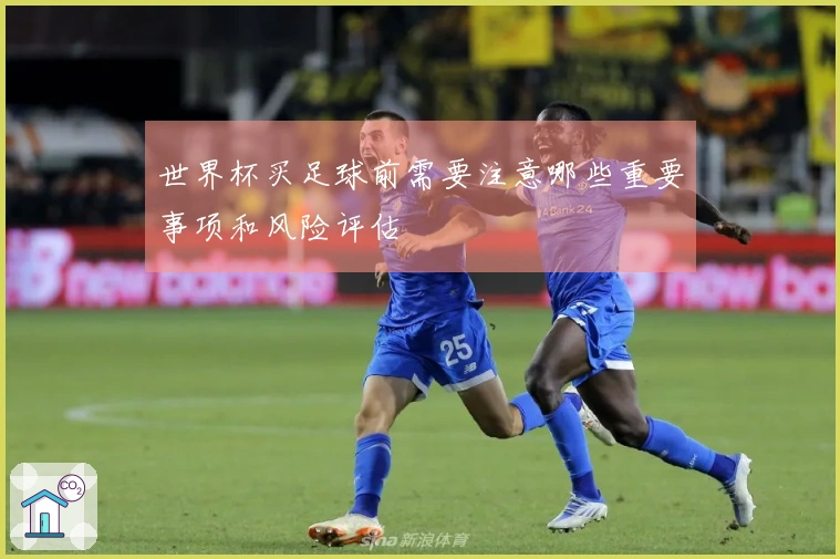 世界杯买足球前需要注意哪些重要事项和风险评估