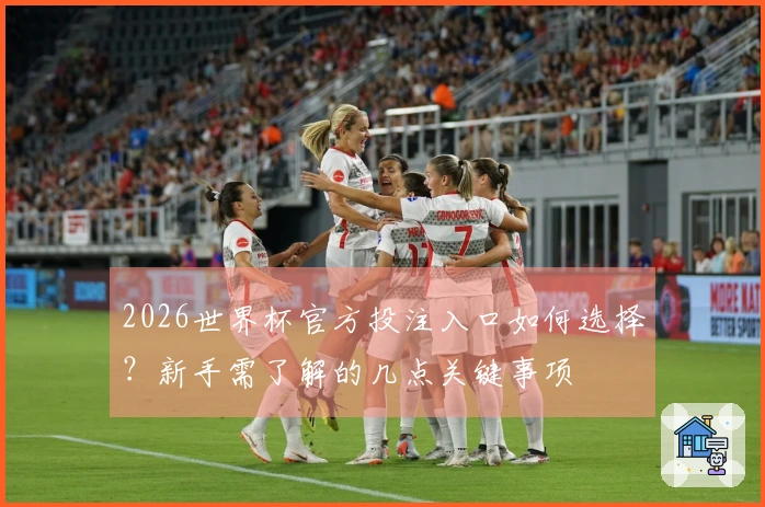 2026世界杯官方投注入口如何选择？新手需了解的几点关键事项