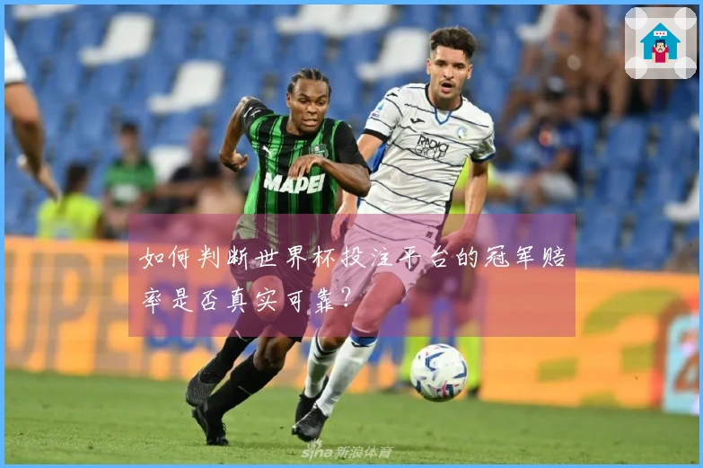 如何判断世界杯投注平台的冠军赔率是否真实可靠?