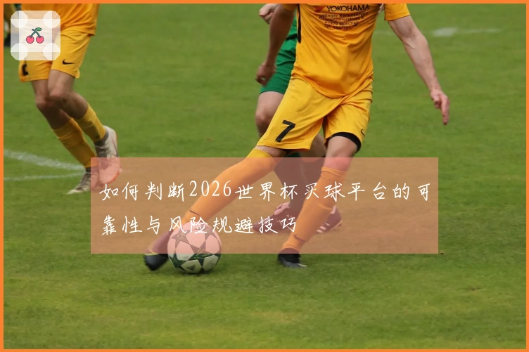 如何判断2026世界杯买球平台的可靠性与风险规避技巧