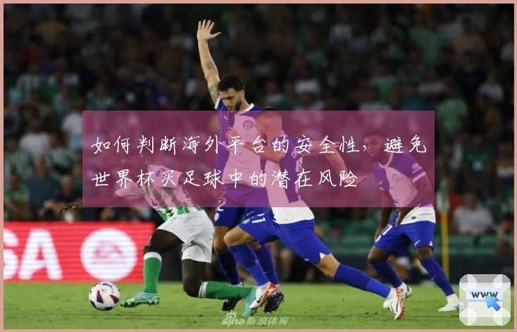 如何判断海外平台的安全性，避免世界杯买足球中的潜在风险
