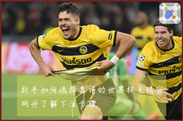 新手如何选择靠谱的世界杯竞猜官网并了解下注步骤