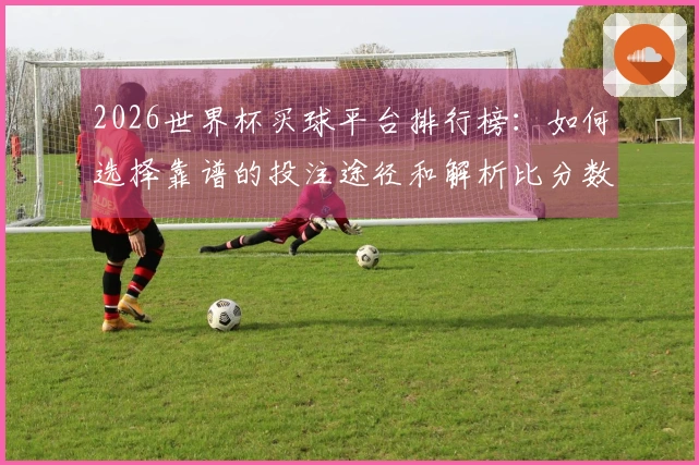 2026世界杯买球平台排行榜：如何选择靠谱的投注途径和解析比分数据使用技巧