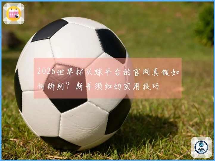 2026世界杯买球平台的官网真假如何辨别？新手须知的实用技巧