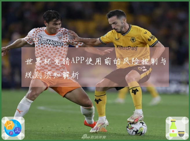 世界杯竞猜APP使用前的风险控制与规则须知解析