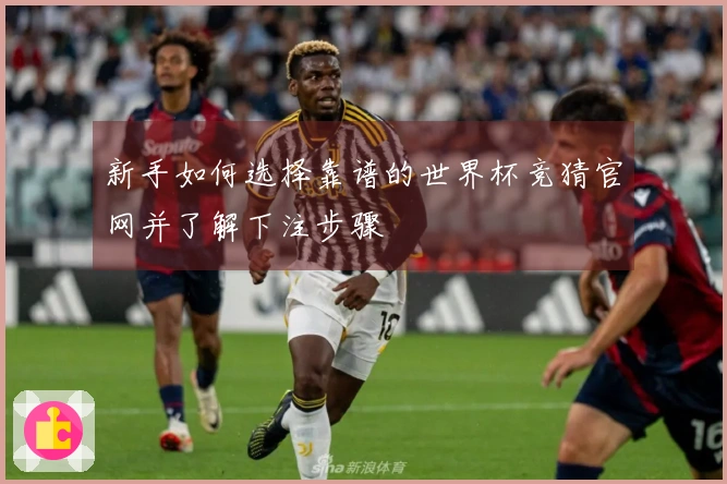 新手如何选择靠谱的世界杯竞猜官网并了解下注步骤