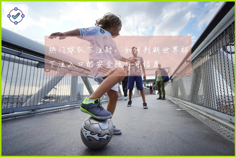 热门球队下注时，如何判断世界杯下注入口的安全性与可信度