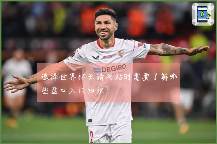 选择世界杯竞猜网站时需要了解哪些盘口入门知识?