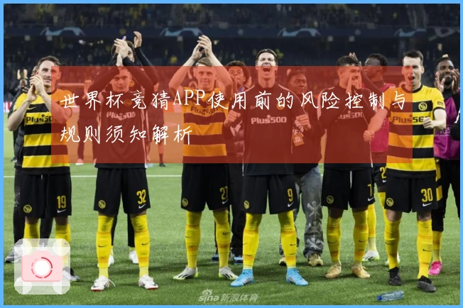 世界杯竞猜APP使用前的风险控制与规则须知解析