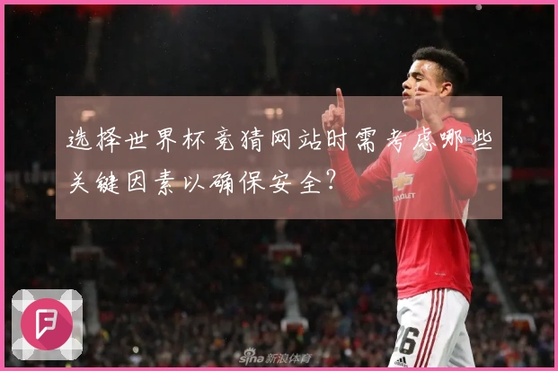 选择世界杯竞猜网站时需考虑哪些关键因素以确保安全?