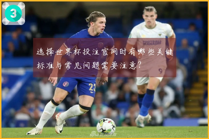 选择世界杯投注官网时有哪些关键标准与常见问题需要注意？