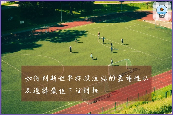 如何判断世界杯投注站的靠谱性以及选择最佳下注时机