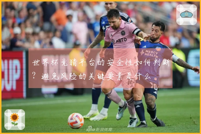 世界杯竞猜平台的安全性如何判断？避免风险的关键要素是什么