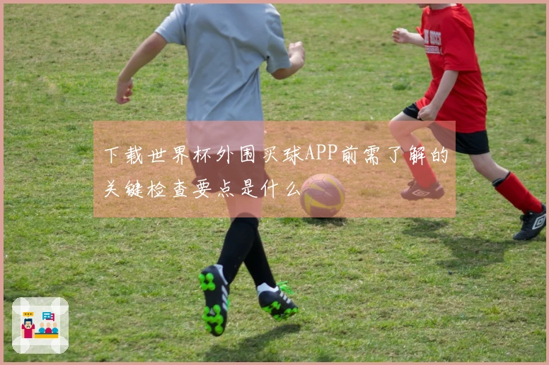 下载世界杯外围买球APP前需了解的关键检查要点是什么