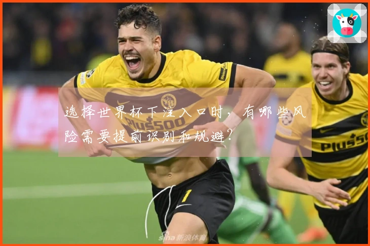 选择世界杯下注入口时，有哪些风险需要提前识别和规避？